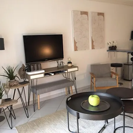 Studio Avec Terrasse - Cam1