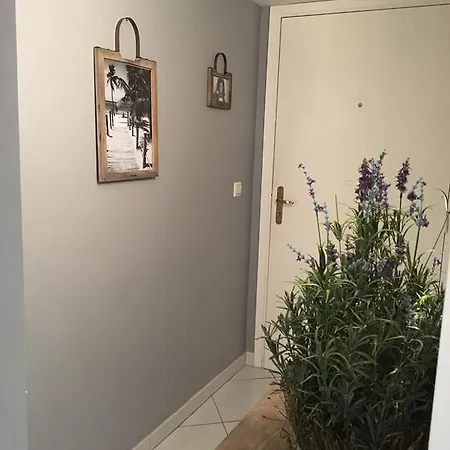 Studio Avec Terrasse - Cam1 Appartement